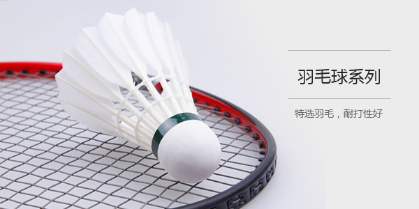 图4(600x300)-羽毛球系列