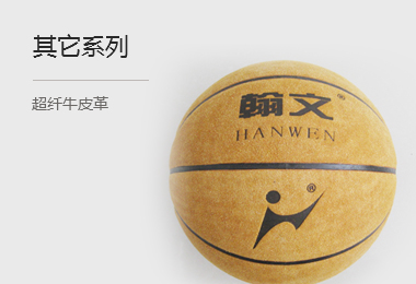 图6(380x260)-其他系列