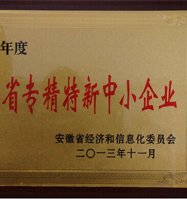 热烈祝贺我司荣获“安徽省2013年度专精特新中小企业”！