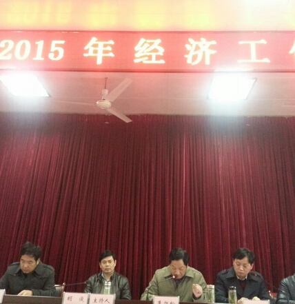 干汊河镇召开2015年度经济工作会，我司又获表彰！
