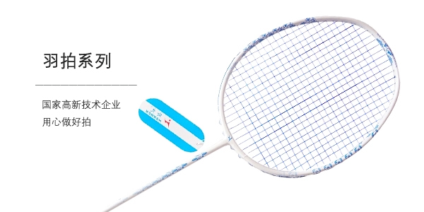 图1(600x300)-羽拍系列